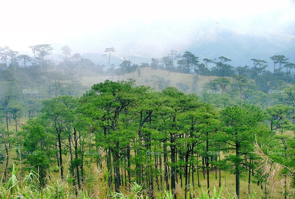 Thailand mountain