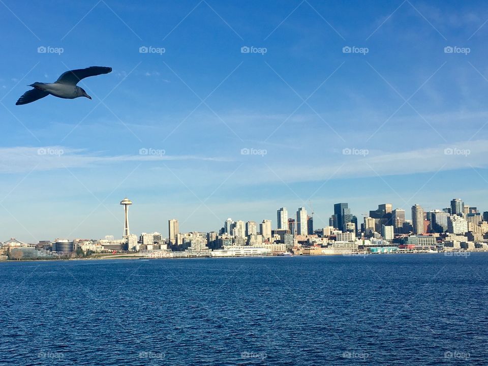 Space Needle from Elliot Bay