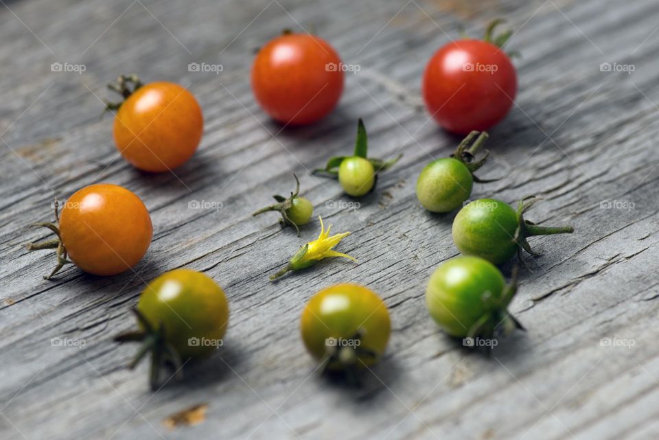 Tomato lie circle