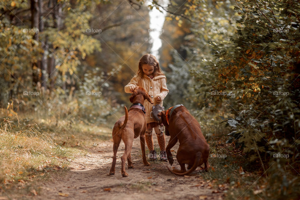 Little girl playing with dogs in an autumn park