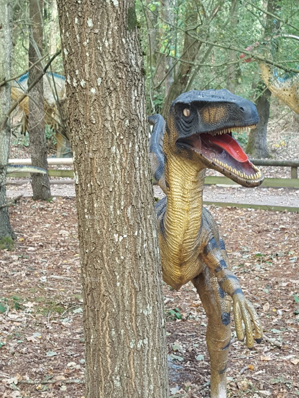 dinosaur