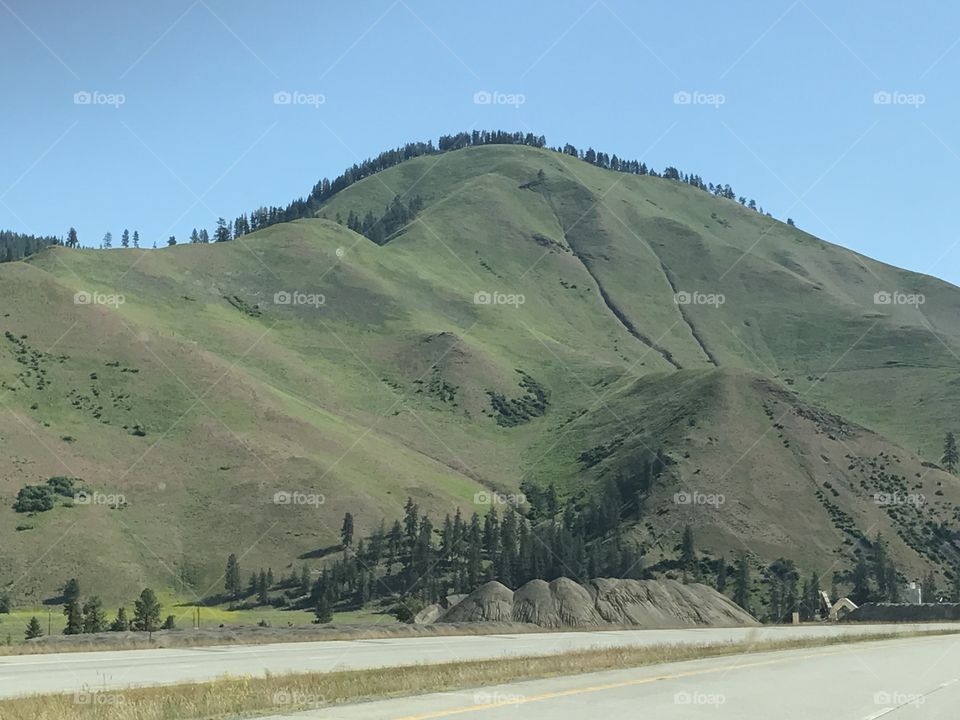 Taken on a scenic road trip through Montana, this beautiful tree-topped mountain (hill) is situated below a perfect blue summer sky.