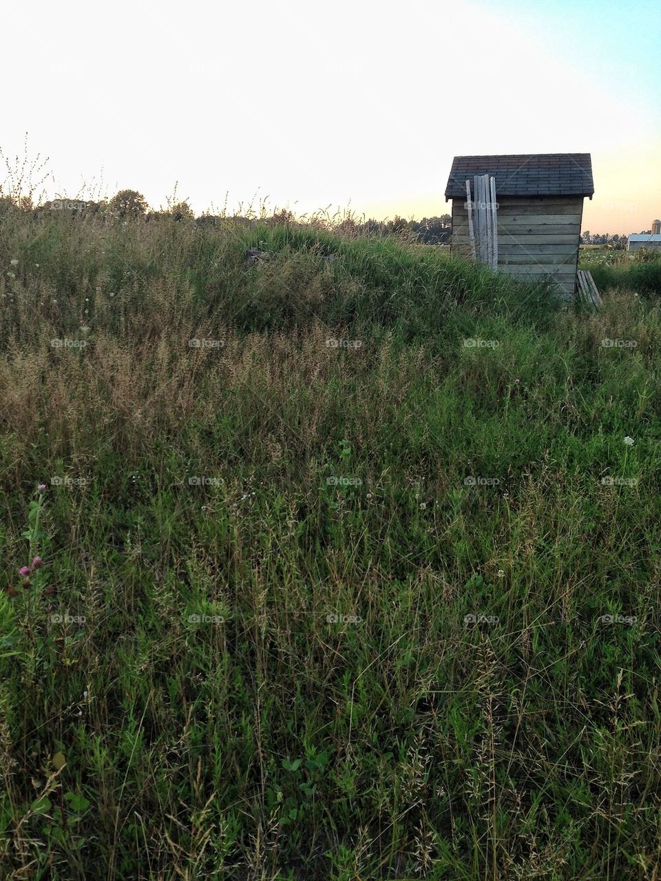 Farmers shed in grass field.