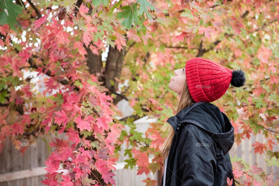 Millennial woman looking up at the colorful fall leaves in a tree outdoors during autumn 