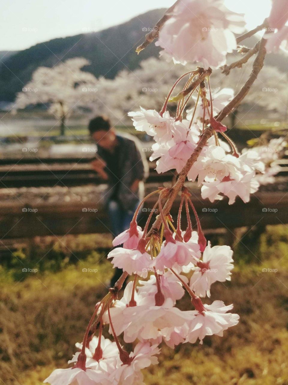 First signs of autumn.