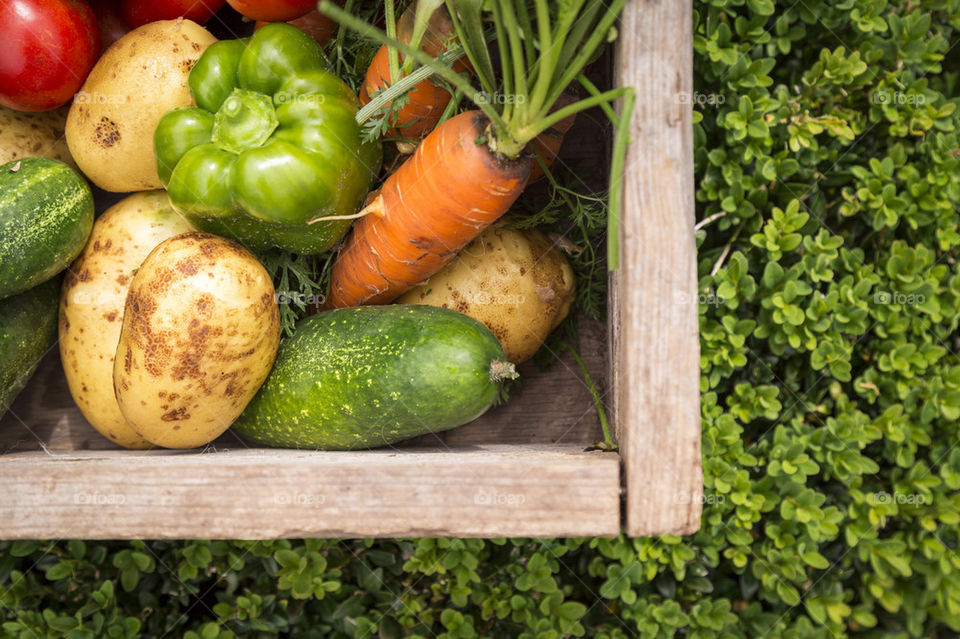 Organic vegetables in wooden box 