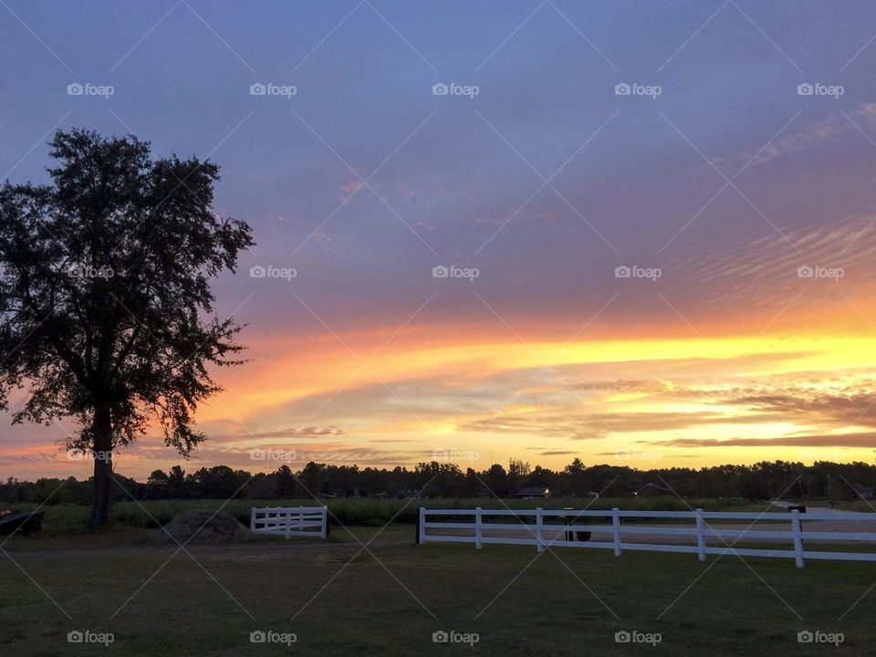 moi c est Gerrard,je vous présente des jolie image que vous avez jamais vue,n esitez pas a les regarder