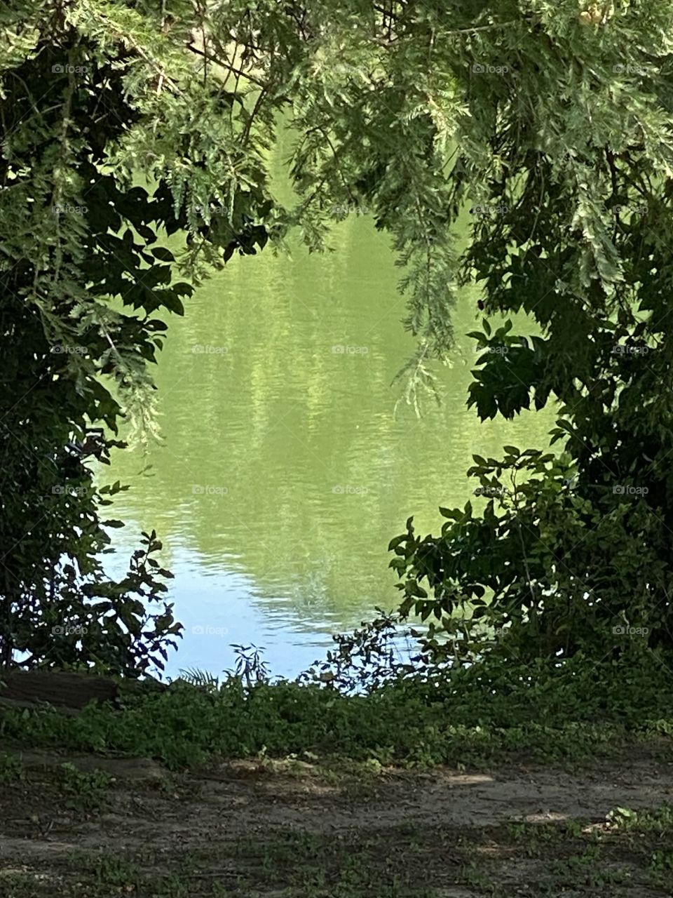 Natures Circle