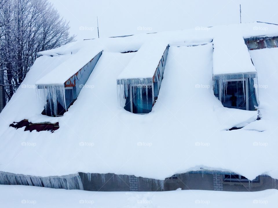 Frozen Windows in Winter