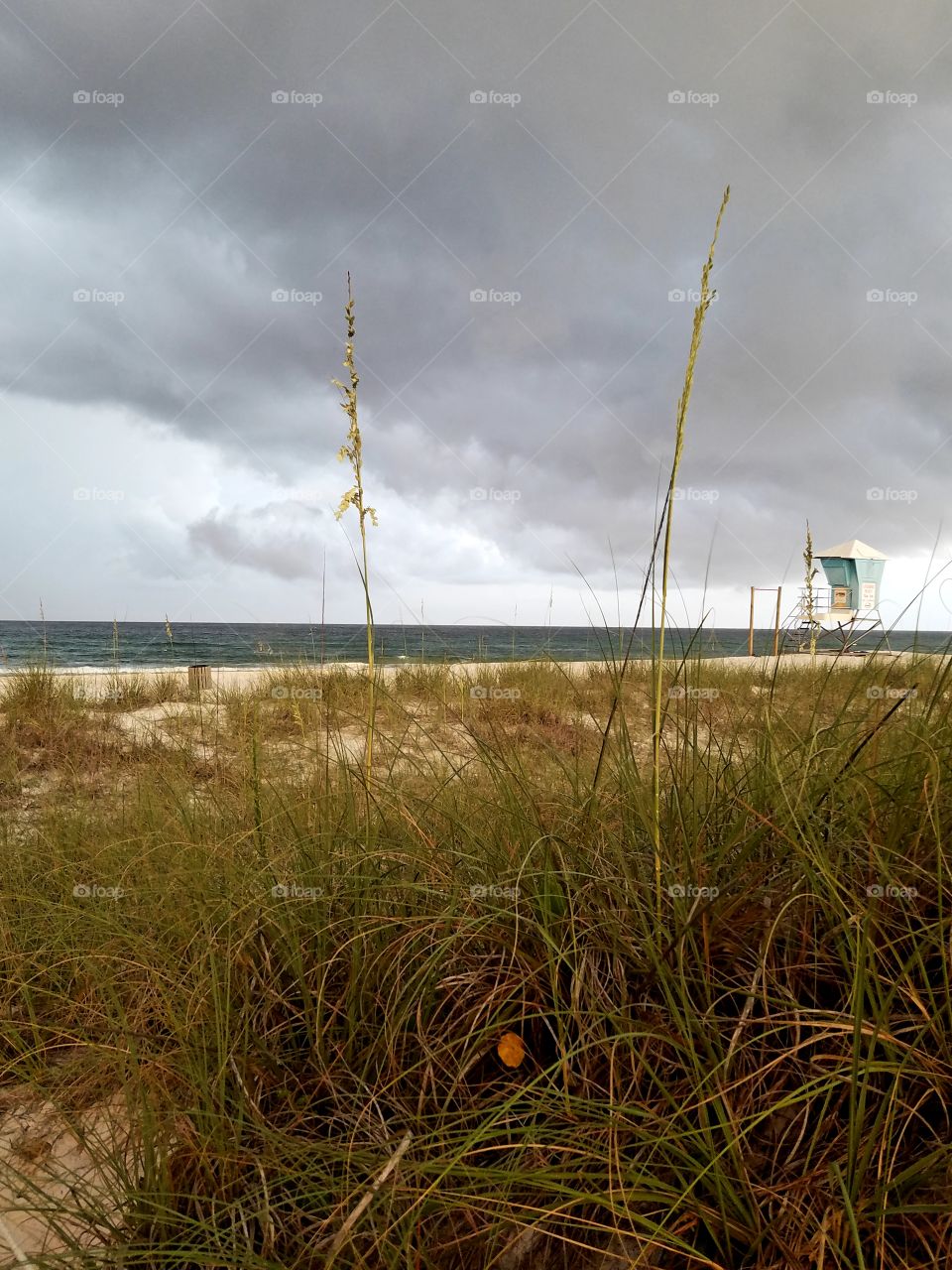 sea oats, beach and clouds