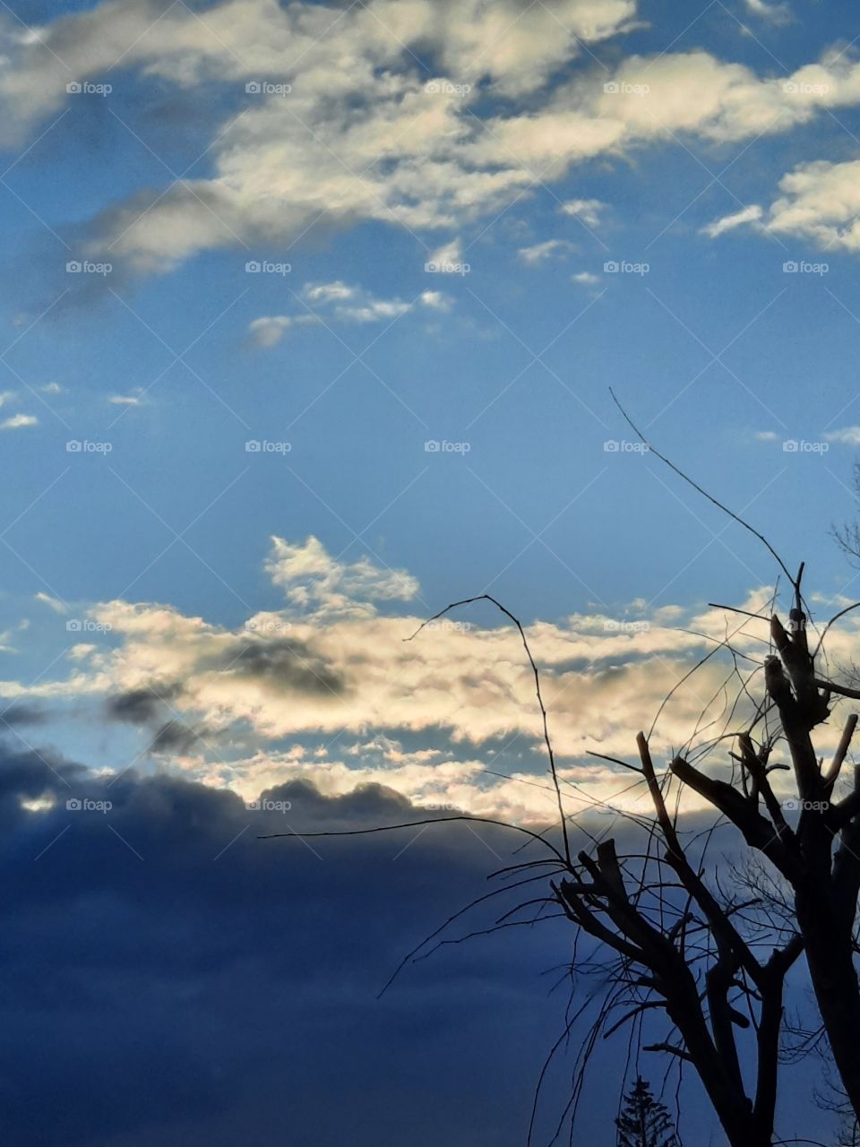 sun behind white clouds on blue sky  with black silhouette of a tree