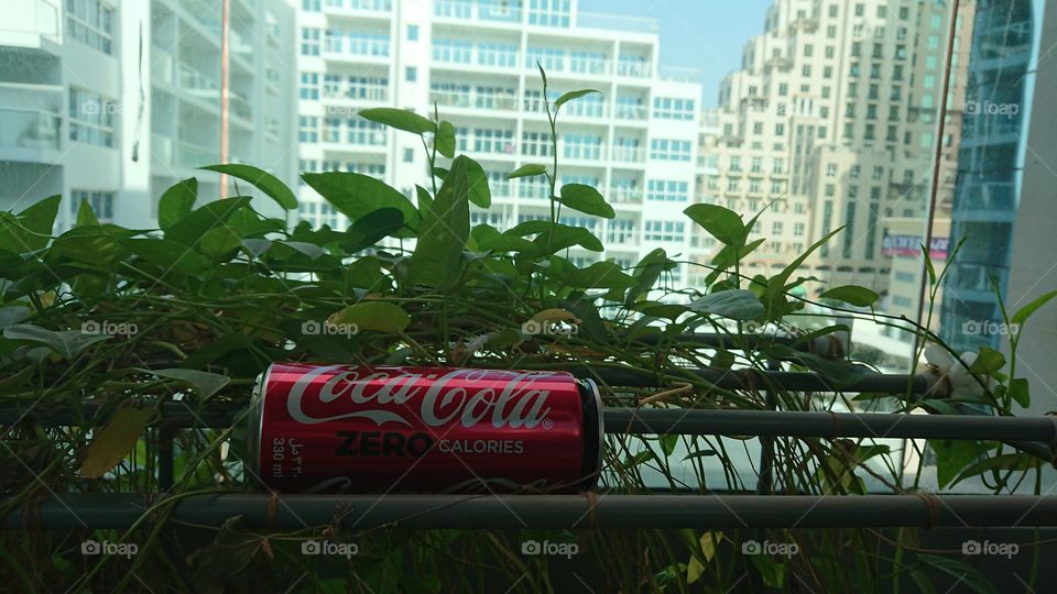 Welcome to Foap Plus!