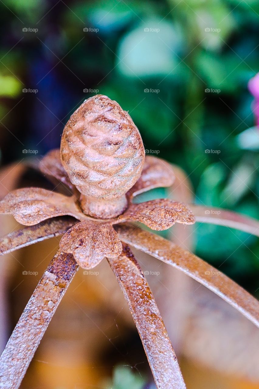 Ornament for plants and garden. Rusty ornament crown