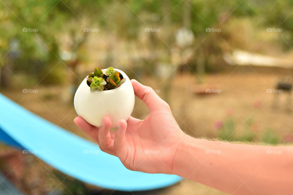 man holding a cactus