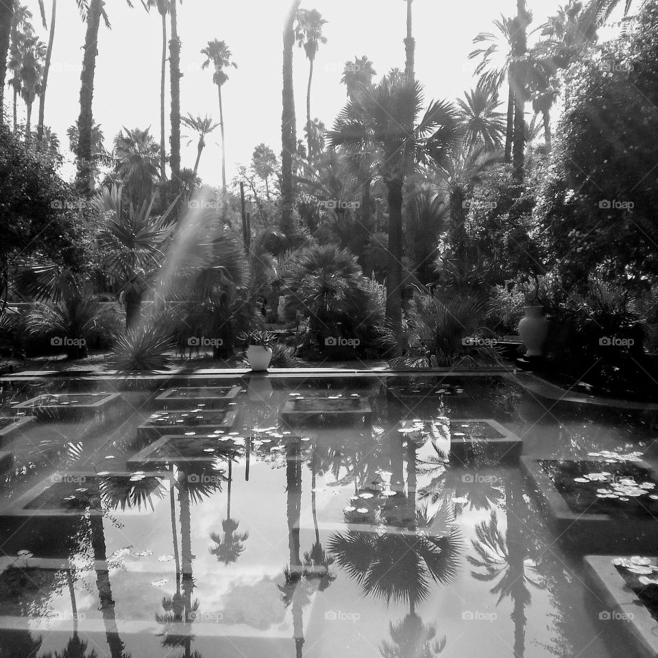 reflection in mirror, nice landscape, nie tree