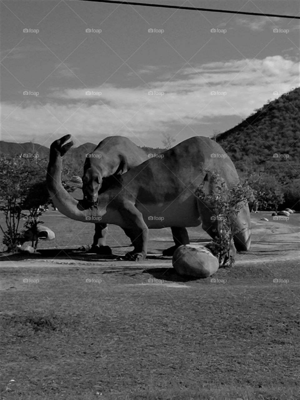 A happy grey stories of pre-historic animals