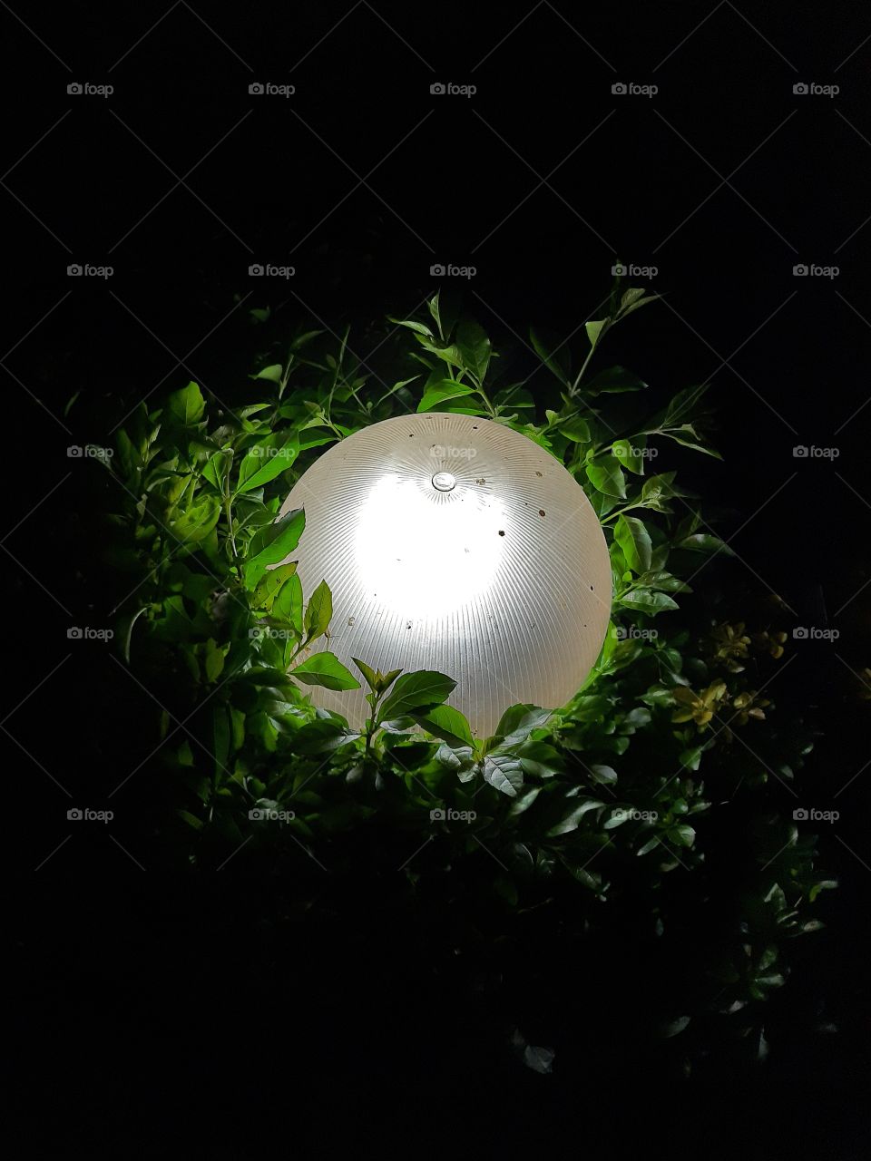 artifical garden light balls