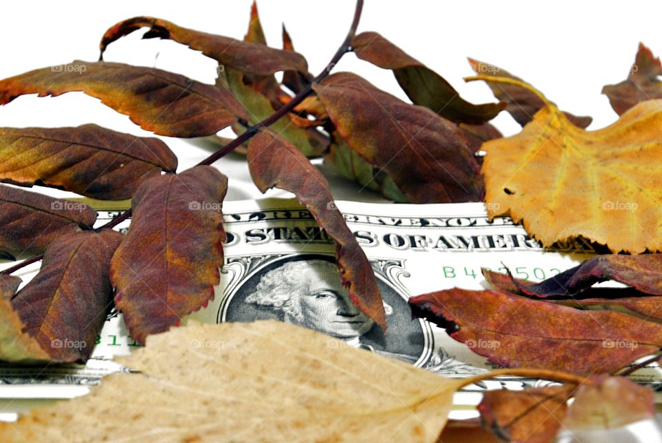 Autumn fall of the national currency