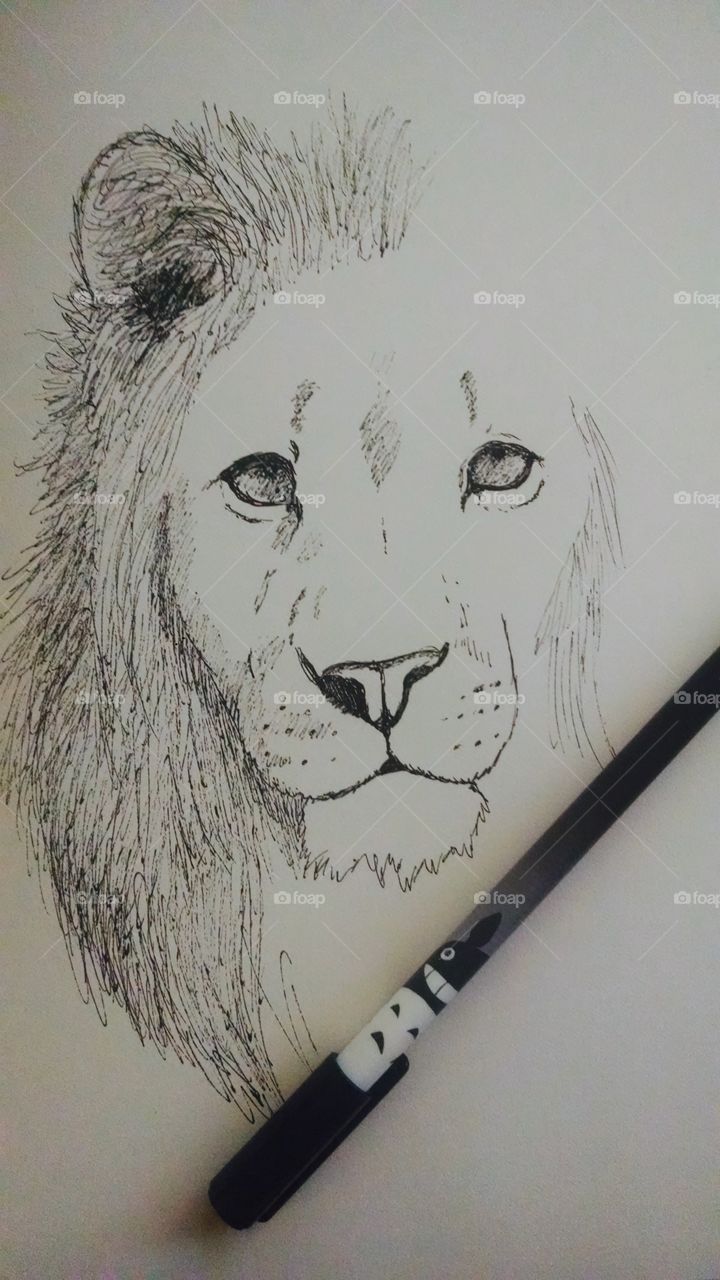 Art of lion