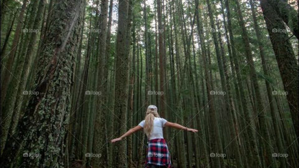 beautiful Nature see forever