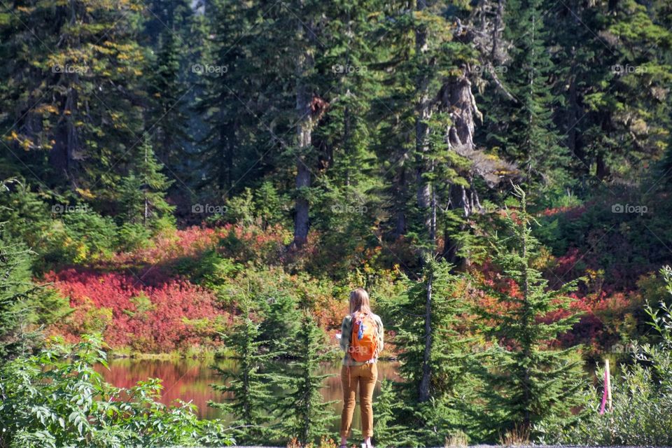 Hiking in the mountains in Autumn