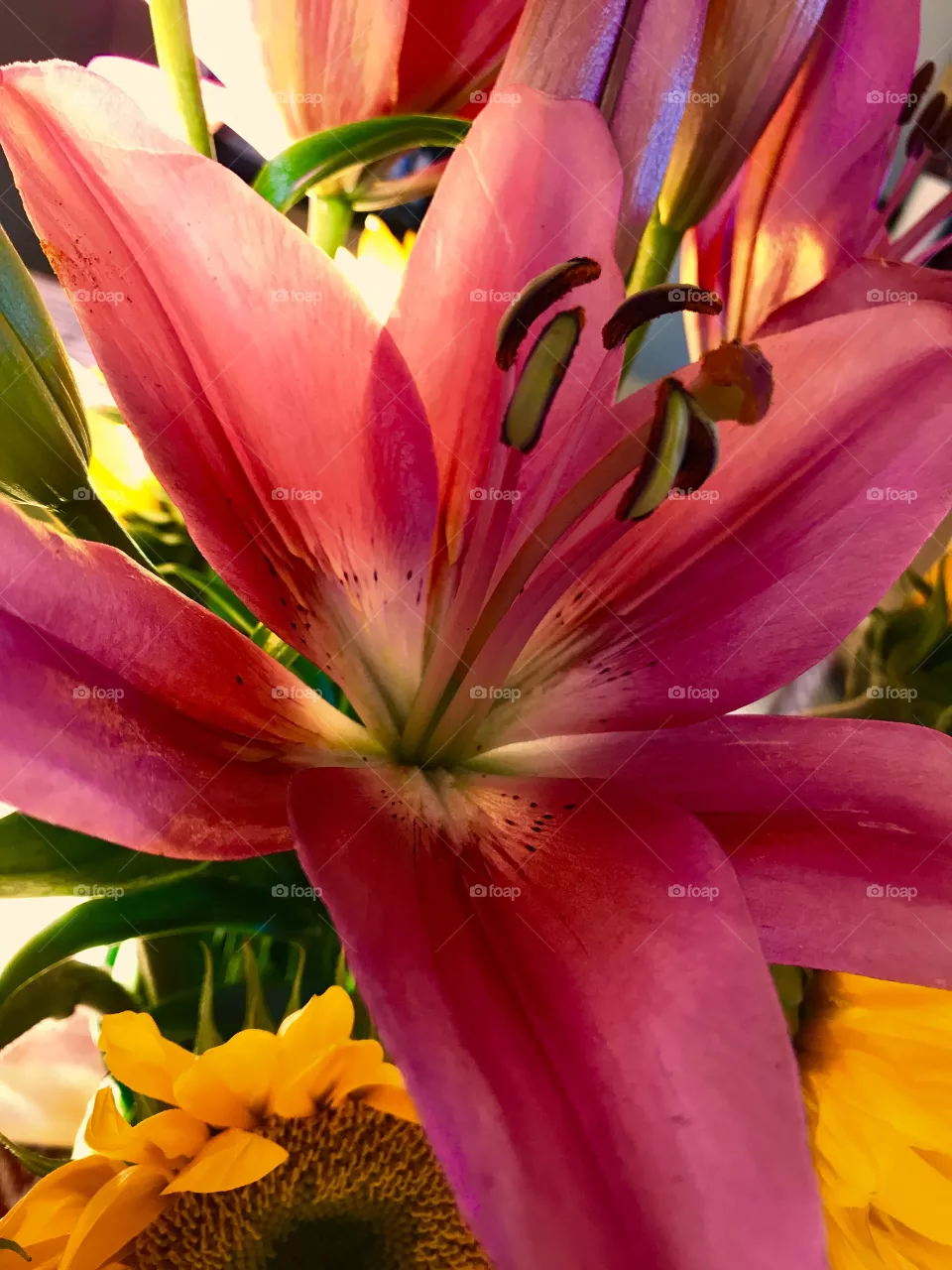 Flowers