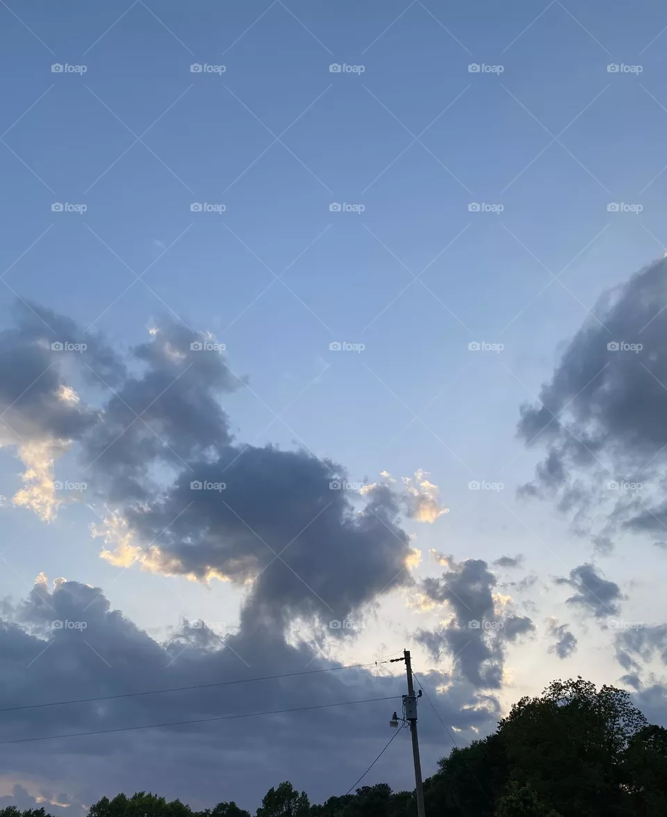 Bunnies in the sky 