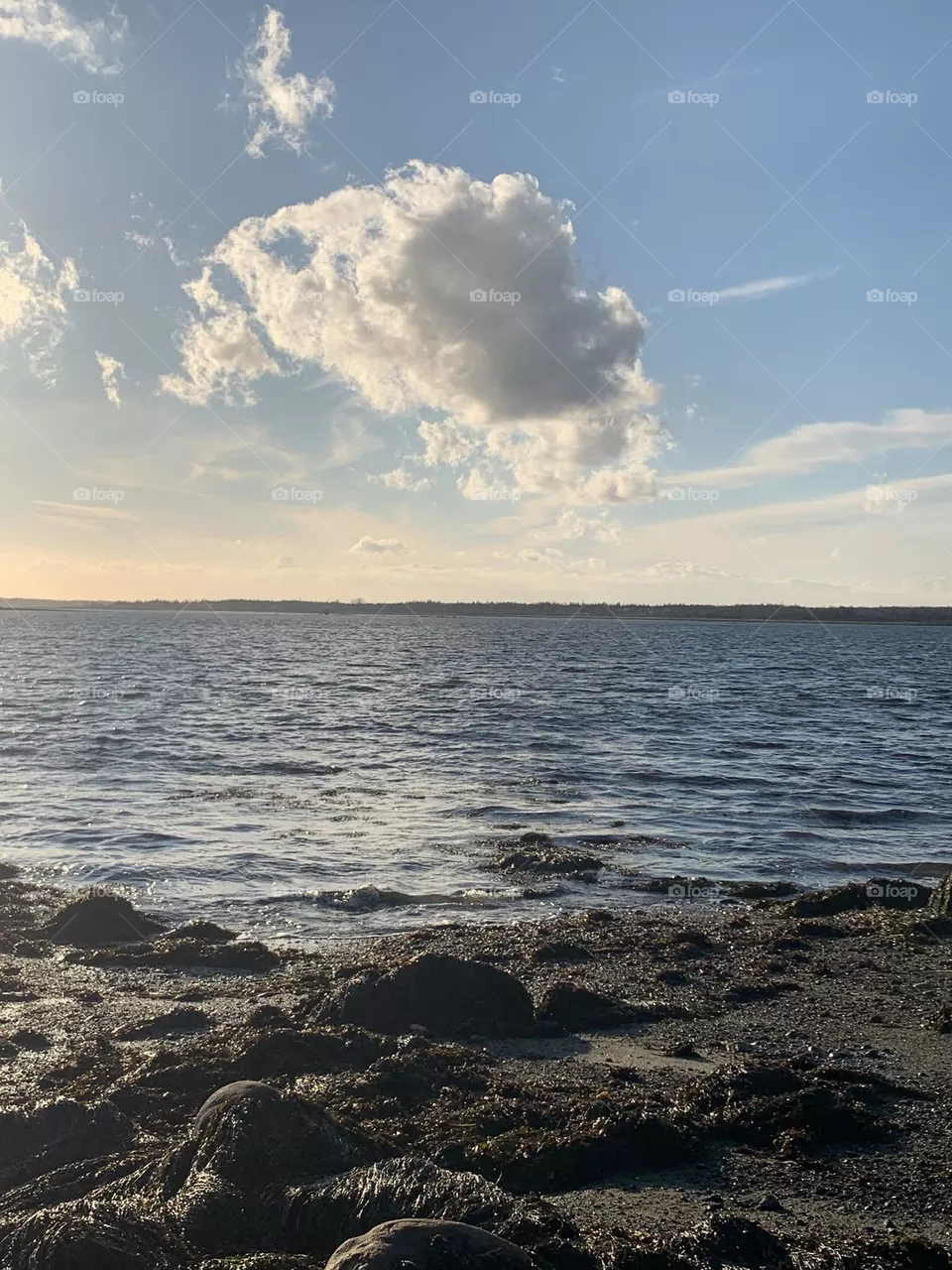 Walk on the beach 