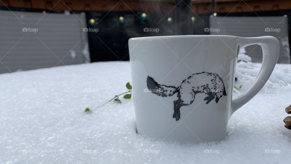 A morning cup of coffee. You can see a light bit of steam coming from the top of the mug. A playful Arctic Fox, in the snow. 