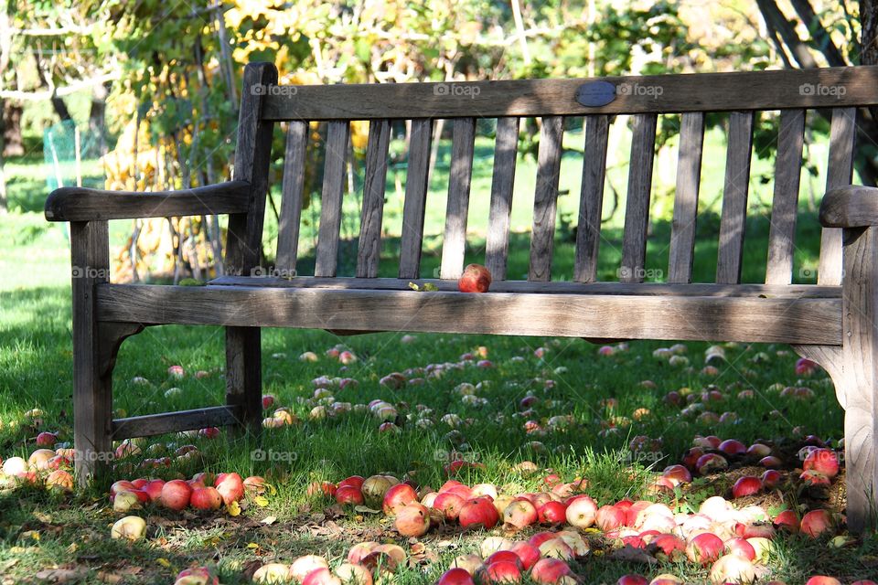 Apple on grass