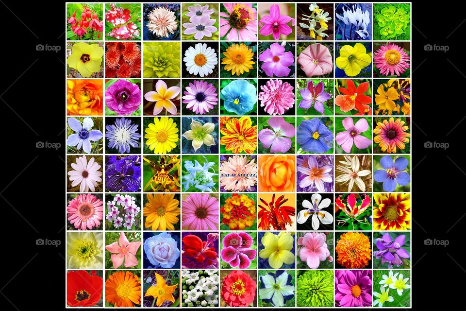 Beautiful traveling photography college make of amazing colours