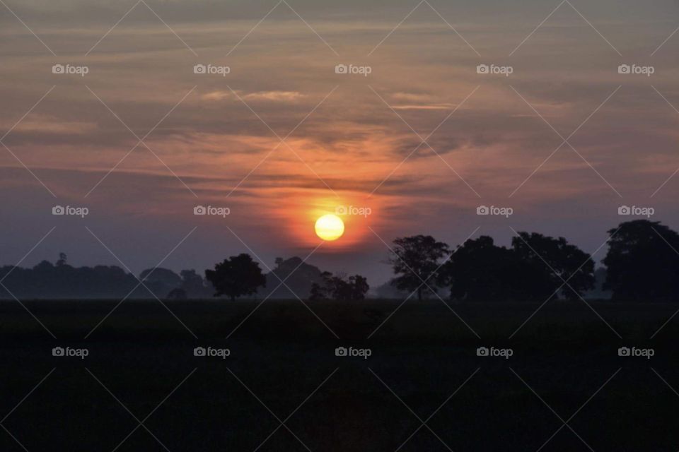 Sunrise at the fields 