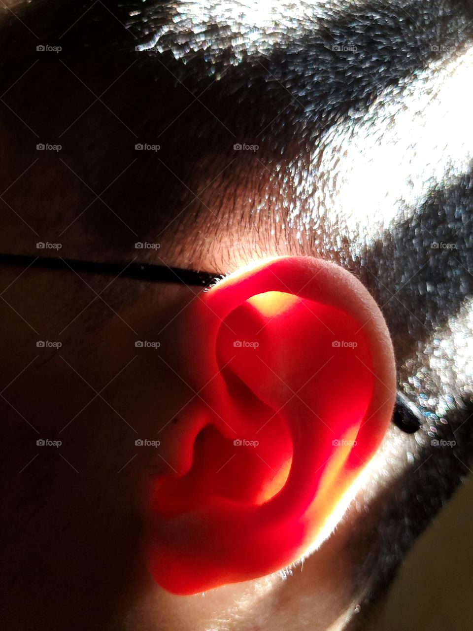 The face starts from one ear to another.  Here is an in interesting view of the skin on the side of the face created by shadows and sunlight that give the ear a slightly translucent red glow.