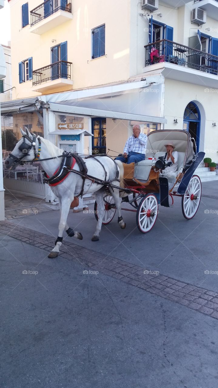 horse at spetses
