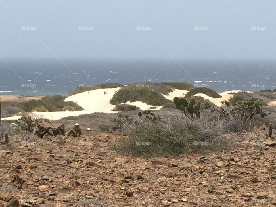 San dune in Aruba. Aruba sand dune 