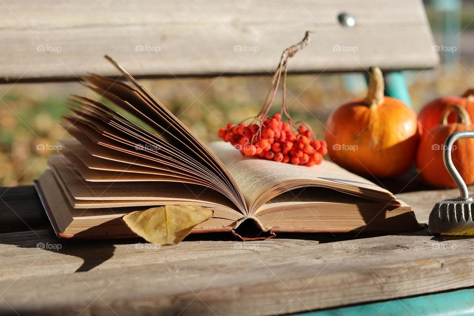 autumn still life