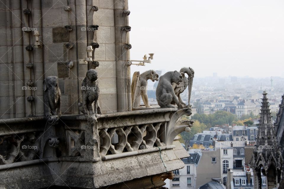 Famous garguilles on the roofs of Paris monuments
