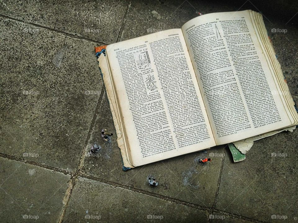 The world of Liliput, a giant book