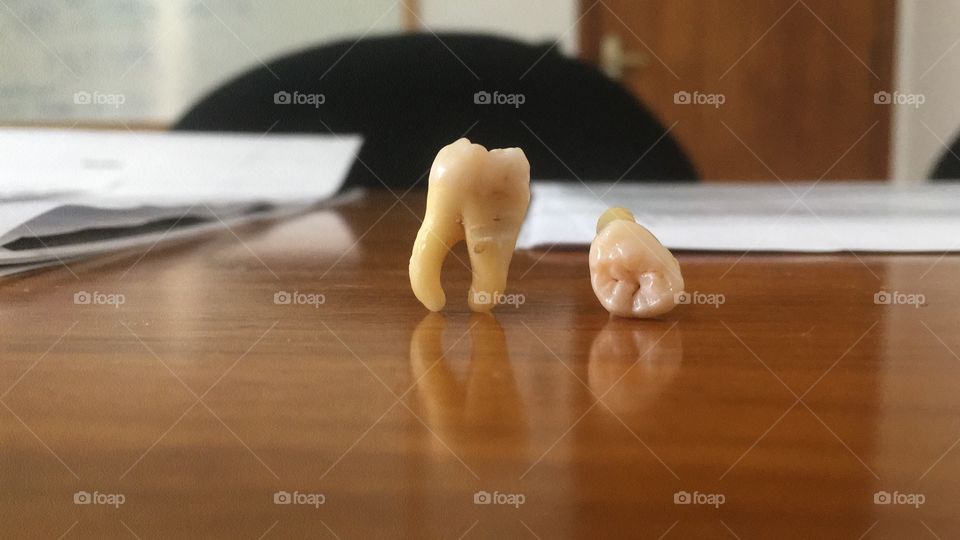 Tooth 