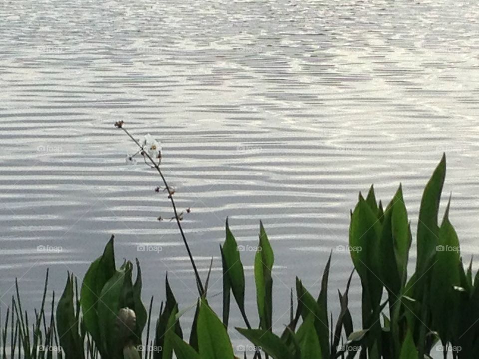 Skirting the lake 