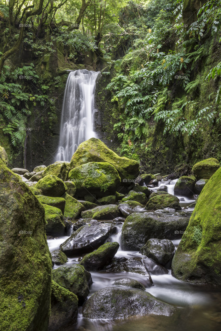 The waterfall of Salto do Prego in the middle of the woods of the island of Sao Miguel, Azores, Portugal.