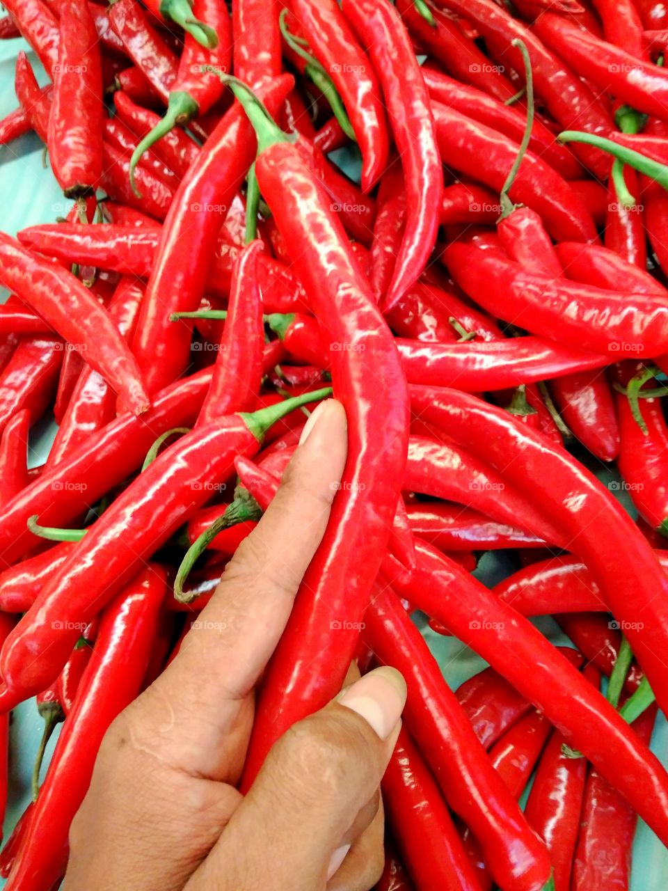 Long red chilis