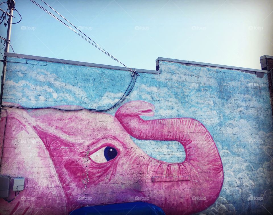 Pink Elephant 