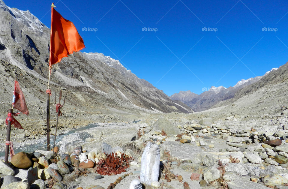 Gangotri National Park