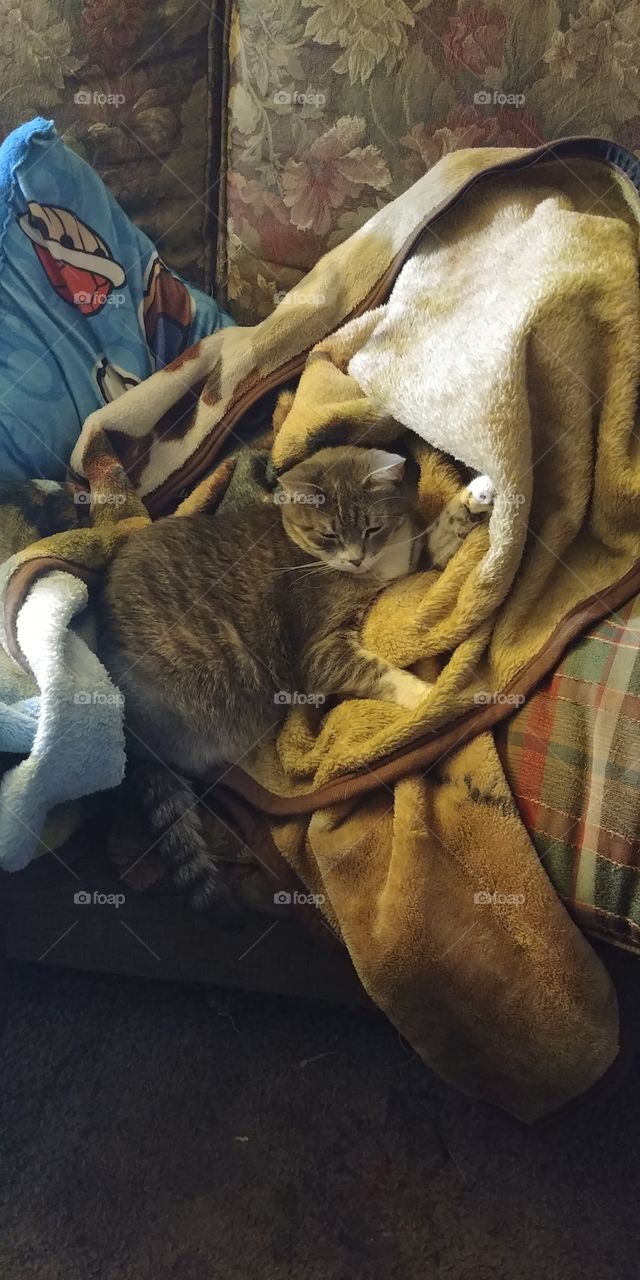 Princess with blankets