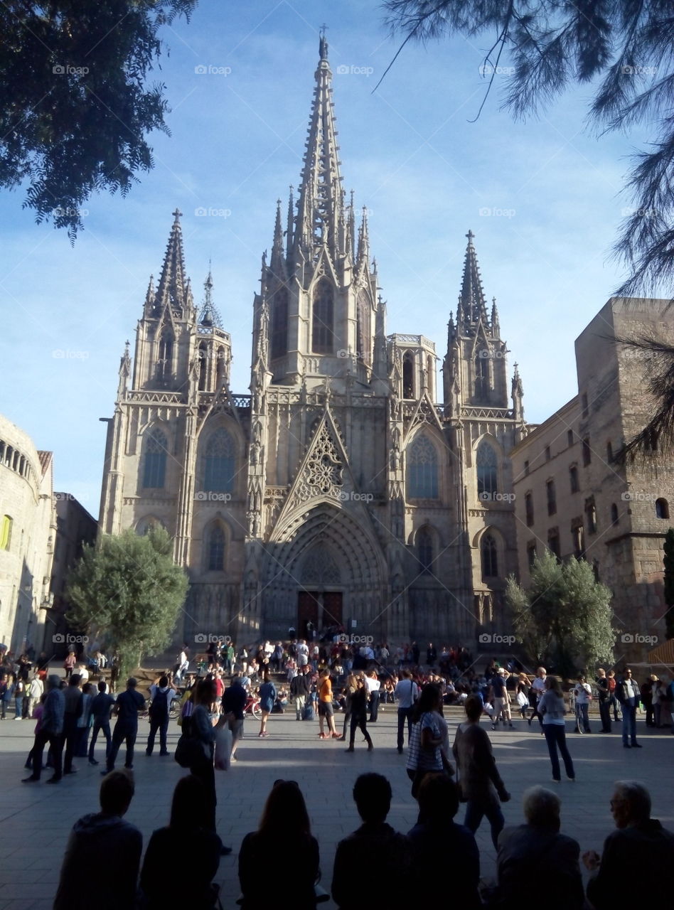 Lugares geniales !! Catedral !! Barcelona !! Cataluña !!