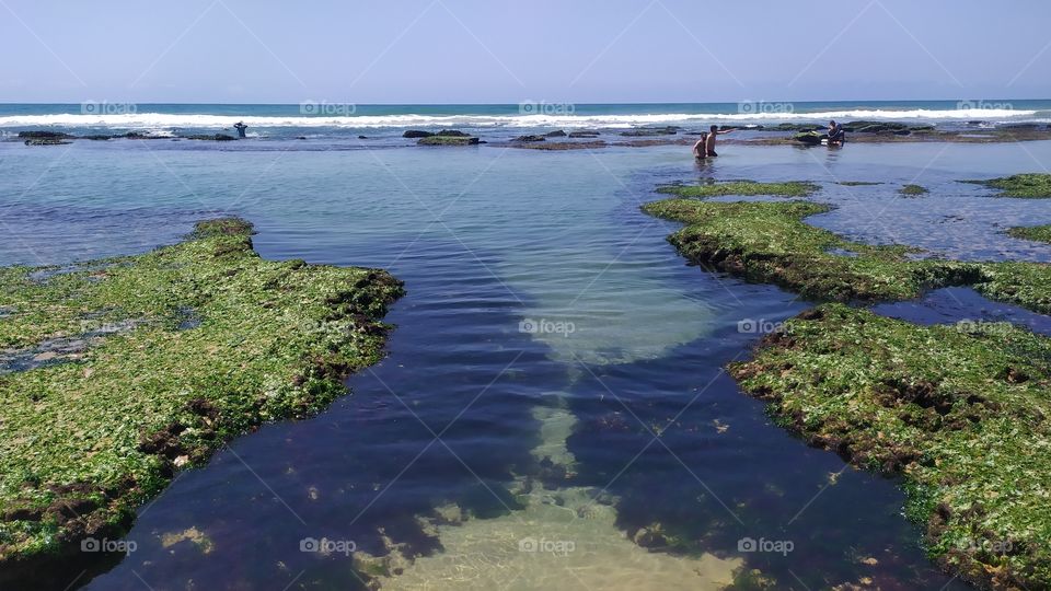 Natural swimming pool