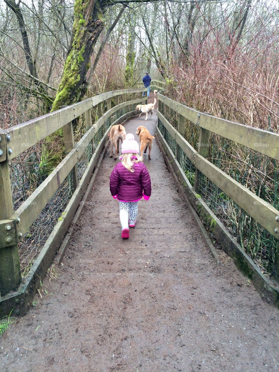 Little girl in dog park. 