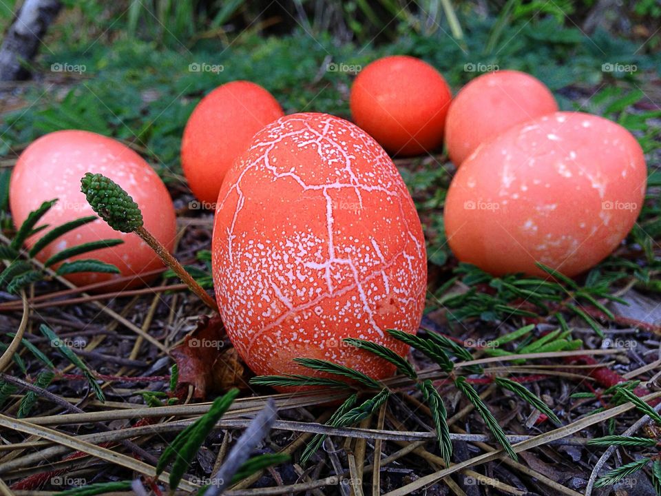 Close-up of easter eggs on field