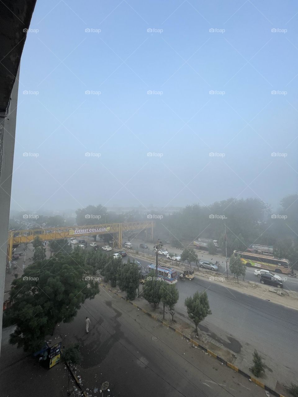 "I wonder sometimes if fog is just the clouds that could not stand being away from the earth any longer."
